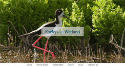 Desktop Screenshot of kaelepuluwetland.com